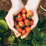 Foto: Freepik (Ilustracija)