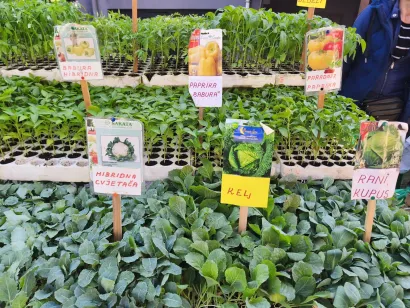 Ponuda je vi&scaron;e nego bogata/Foto: Gradska tržnica Daruvar