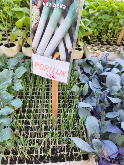 Proljetna sjetva je u punom jeku/Foto: Gradska tržnica Daruvar