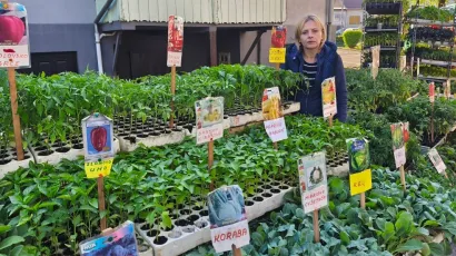 Foto: Gradska tržnica Daruvar