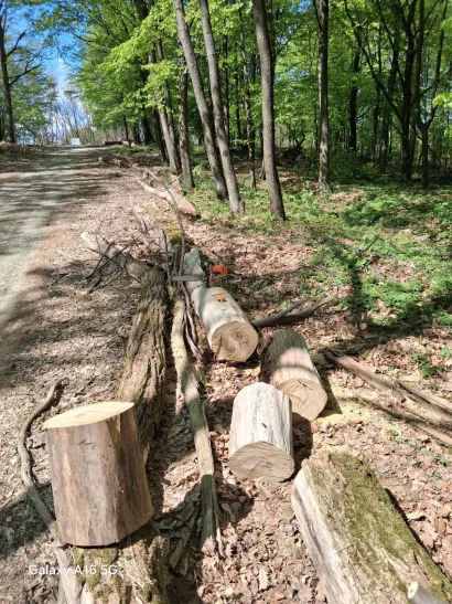 Foto: Udruga Lipa Gare&scaron;nica