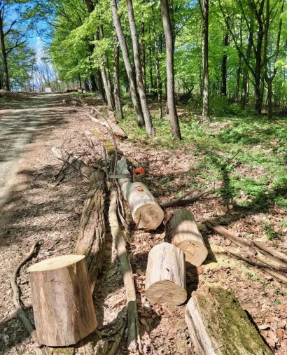 Foto: Udruga Lipa Gare&scaron;nica