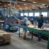 Foto: Vedran Peteh/CROPIX