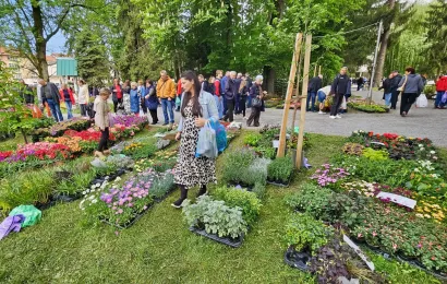 Foto: Nikica Puhalo/MojPortal.hr