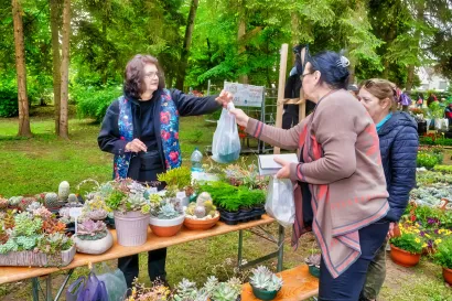 Foto: Predrag Uskoković/Grad Daruvar