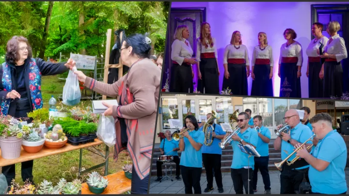 Foto: Predrag Uskoković