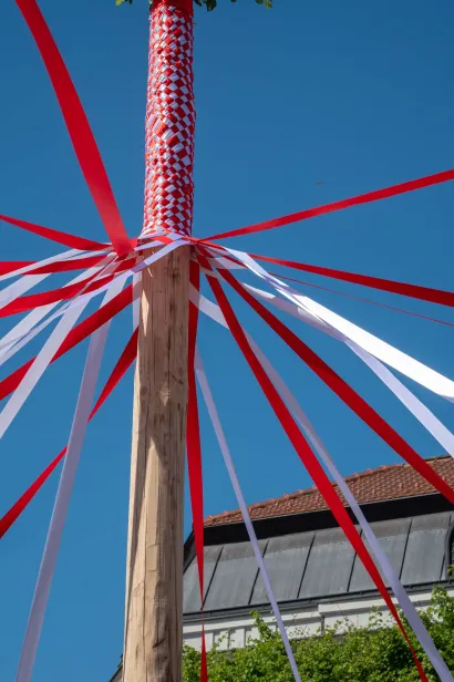 Foto: Predrag Uskoković/Grad Daruvar