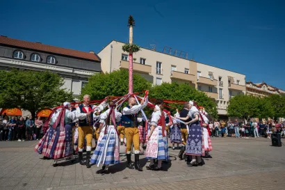 Foto: Predrag Uskoković/Grad Daruvar