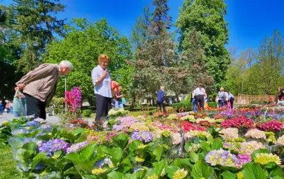 Foto: Nikica Puhalo/MojPortal.hr