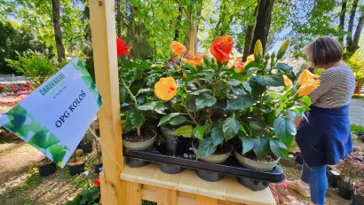 Foto: Nikica Puhalo/MojPortal.hr