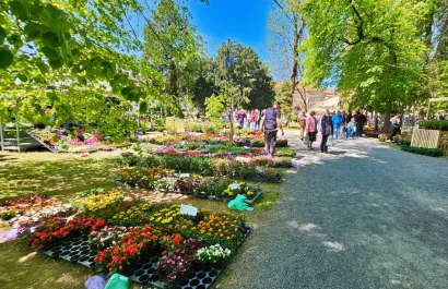 Foto: Nikica Puhalo/MojPortal.hr