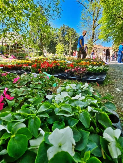 Foto: Nikica Puhalo/MojPortal.hr