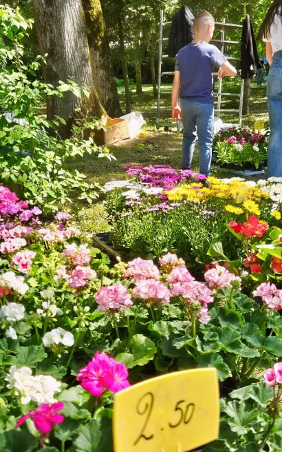 Foto: Nikica Puhalo/MojPortal.hr