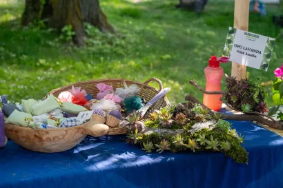 Foto: Predrag Uskoković/Grad Daruvar