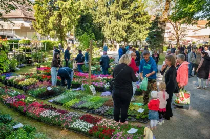 Foto: Predrag Uskoković/Grad Daruvar
