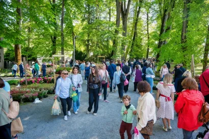 Foto: Predrag Uskoković/Grad Daruvar