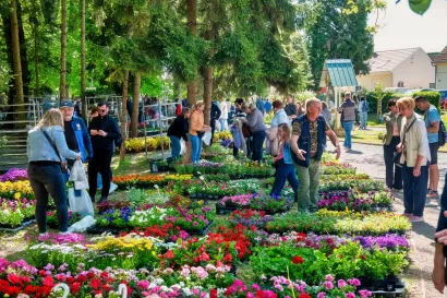 Foto: Predrag Uskoković/Grad Daruvar