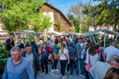 Foto: Predrag Uskoković/Grad Daruvar