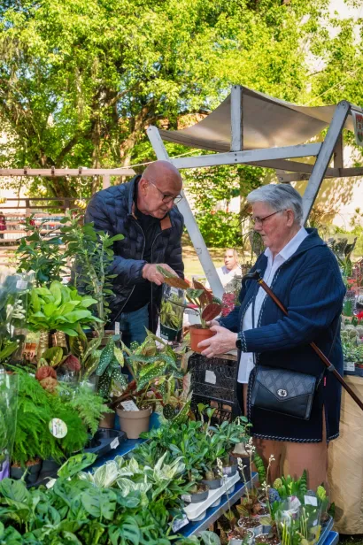 Foto: Predrag Uskoković/Grad Daruvar