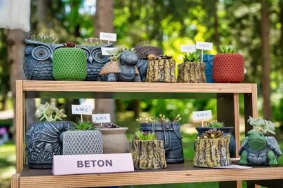 Foto: Predrag Uskoković/Grad Daruvar