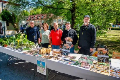 Foto: Predrag Uskoković/Grad Daruvar