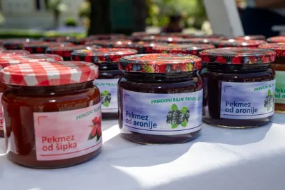 Foto: Predrag Uskoković/Grad Daruvar