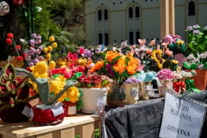 Foto: Predrag Uskoković/Grad Daruvar
