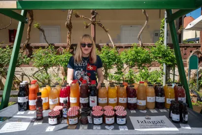 Foto: Predrag Uskoković/Grad Daruvar