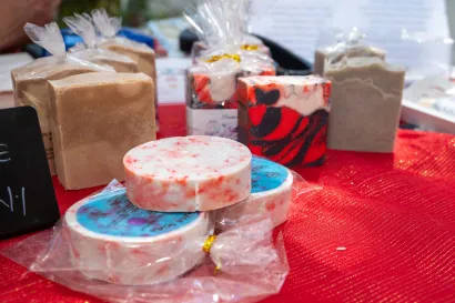 Foto: Predrag Uskoković/Grad Daruvar