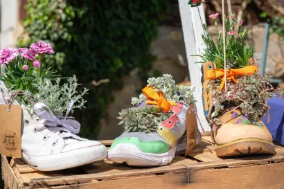 Foto: Predrag Uskoković/Grad Daruvar