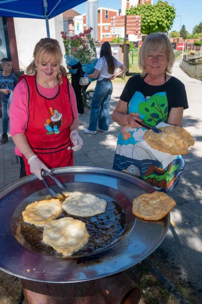 Foto: Predrag Uskoković/Grad Daruvar
