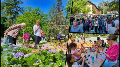 Foto: Nikica Puhalo/MojPortal.hr, Predrag Uskoković/Grad Daruvar