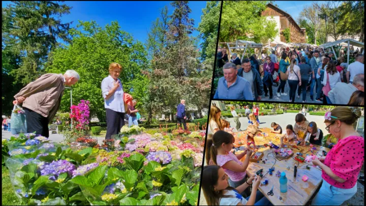 Foto: Nikica Puhalo/MojPortal.hr, Predrag Uskoković/Grad Daruvar