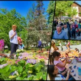 Foto: Nikica Puhalo/MojPortal.hr, Predrag Uskoković/Grad Daruvar