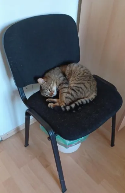 Kad je vani hladno, zna se gdje Kuki drijema/Foto: Helena Lovrak