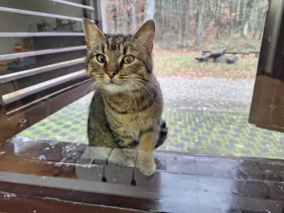 Jeste li vidjeli ovu slatku nju&scaron;kicu?/Foto: Privatni album