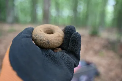 Arheolozi su na lokalitetu prona&scaron;li brojne ostatke tragova naselja/Foto: Kre&scaron;imir Vacek