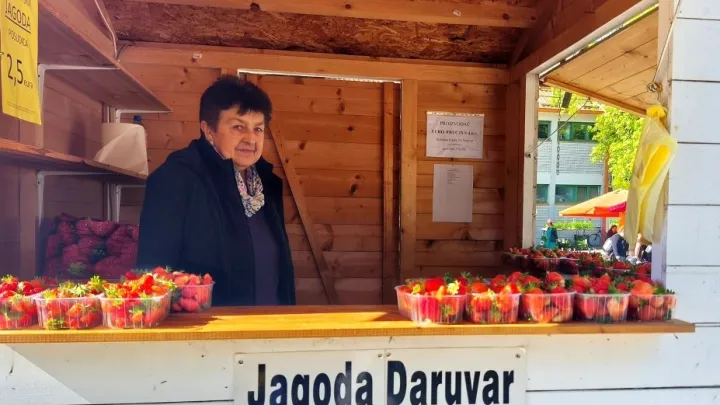 Foto: Gradska tržnica Daruvar