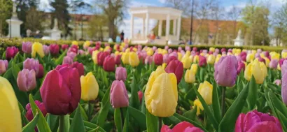 Foto: Grad Bjelovar