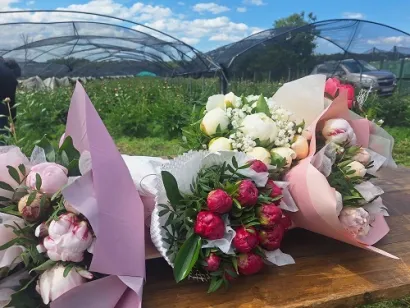 Foto: Dubravka Vukoja