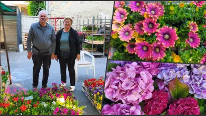 Foto: Gradska tržnica Daruvar