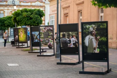 Foto: Predrag Uskoković/Grad Daruvar
