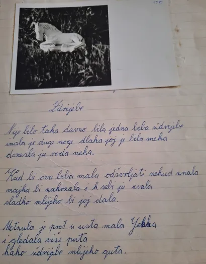 Foto: Privatni album
