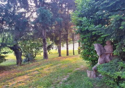 Foto: Privatni album