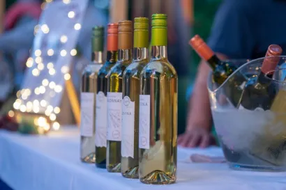 Vina će predstaviti 13 vinara/Foto: TZ Daruvar-Papuk