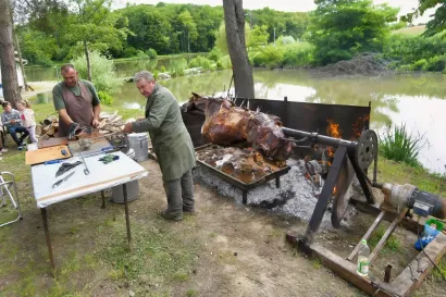 Mata Topčić/Foto: MojPortal.hr