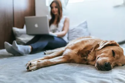 Opu&scaron;tanje je važno za mentalno zdravlje/Foto: Unsplash