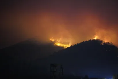 Vatra je zahvatila &scaron;umu i nisko raslinje/Foto: Andjela Scepanovic/CROPIX