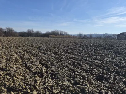Istraženo je područje koje Čazmanci i inače zovu Sveti Andrija/Foto: Gradski muzej Čazma