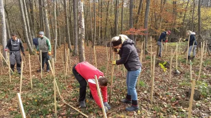 Radna akcija na imanju Bernat/Foto: Privatni album